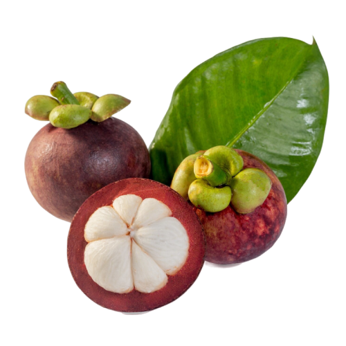 Mesa de trabajo 58 copia 2