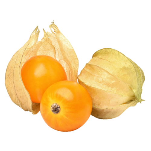 Mesa de trabajo 58 copia 3