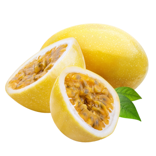 Mesa de trabajo 58 copia 4