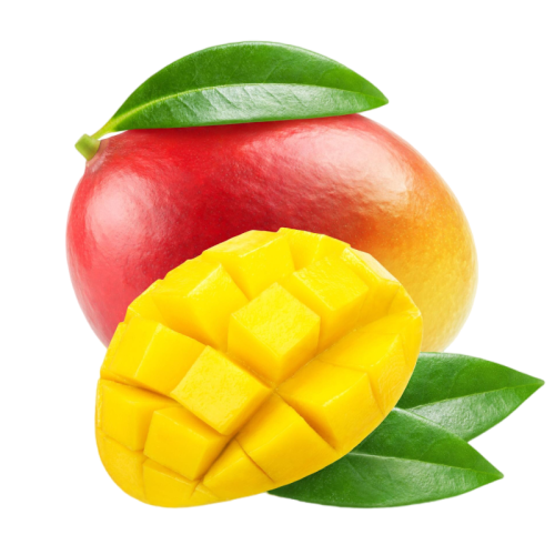 Mesa de trabajo 58 copia 7