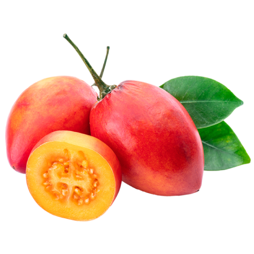 Mesa de trabajo 58 copia 9